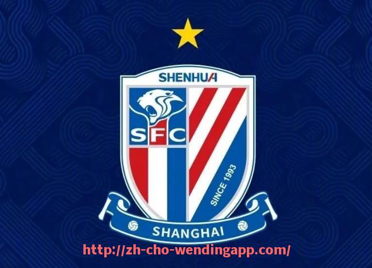 问鼎娱乐官网-世俱杯主办城市移动医疗服务覆盖面与就医便利化指标评估