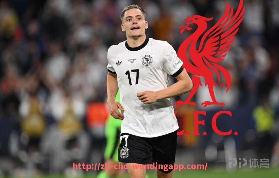 问鼎娱乐官网-直播巴西甲联赛与西甲的体育赛事对比分析